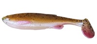 rudd minnow