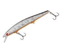 roach