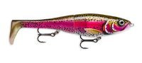 live rainbow trout