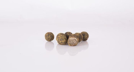 Kulki NASH Scopex Squid Cultured HookBaits 20mm