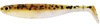 baitfish