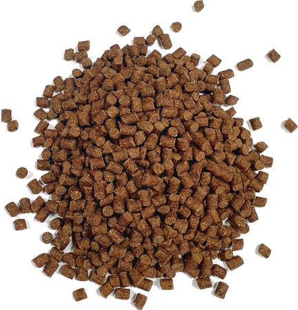 Pellet Aller Aqua REP EX 6mm z krylem 3,5kg - wiadro