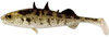 stickleback