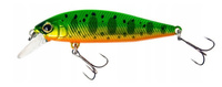green gold tiger