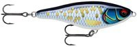 scaled baitfish