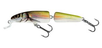 Wobler SALMO Fanatic 7F Holo Bleak 7cm 5g