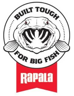 Wobler Rapala Hybrid X-Rap OTUS 17cm 40g SCRR scaled roach