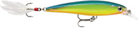 parrot