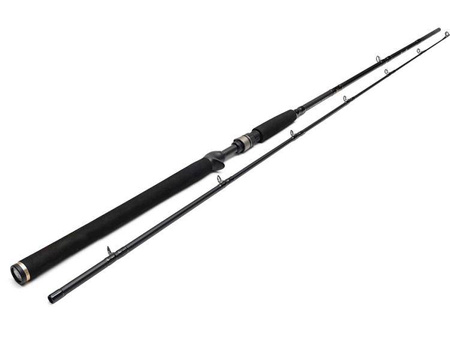 Wędka WESTIN W3 Powershad-T 2nd 248 40-130g