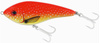 coral trout