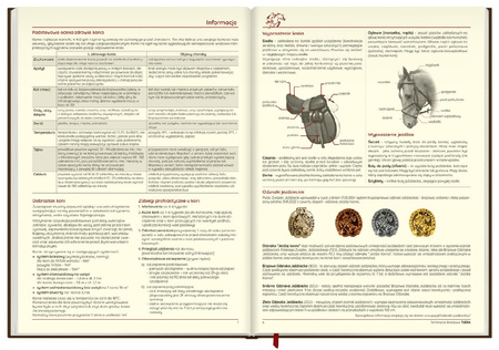 Terminarz jeździecki KALENDARZ książkowy 2026