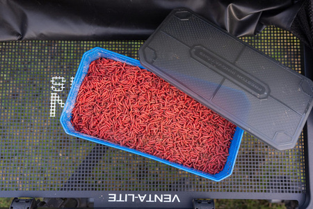 Pudełko Preston Bait Tub - 6 Pint / 3.4L