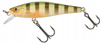 wild perch