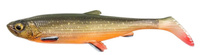 arctic char