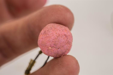Kulki NASH Scopex Squid Cultured HookBaits 20mm