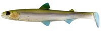 smelt