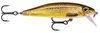 live brown trout
