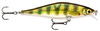 live perch