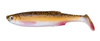 rudd minnow