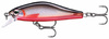 red belly shad