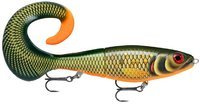 scaled roach