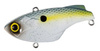 Sexy Shad