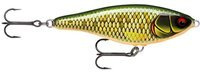 scaled roach