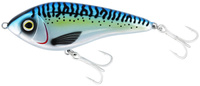 atlantic macrel