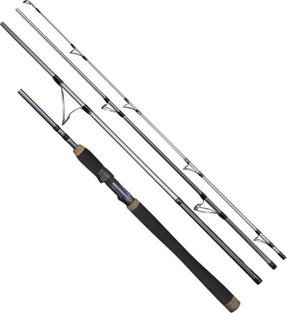 Wędka DRAGON Millenium SF TravelFour 245cm 100-200g