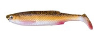 rudd minnow