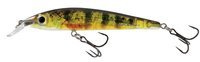 Real Yellow Perch