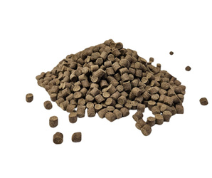 Pellet zanętowy Aller Aqua Master 11mm 1kg