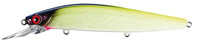 stain shad