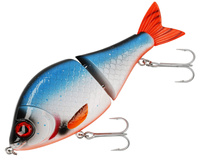 blue roach