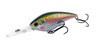 rainbow trout