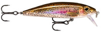 live rainbow trout