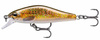live brown trout