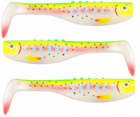RT - Rainbow Trout