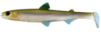 smelt