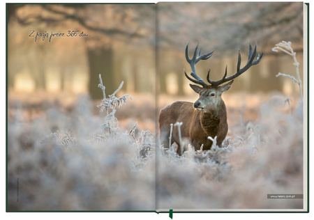 Terminarz łowiecki KALENDARZ dla myśliwego książkowy 2026