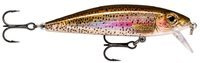 live rainbow trout