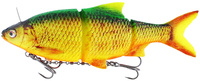 firetiger rudd