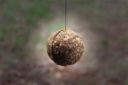 NASH Ball Maker - Prasa do kulek zanętowych NASH 40mm