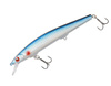blue roach