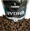 hydra