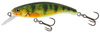 young perch