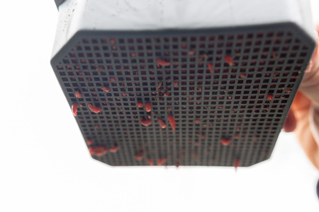 Wkładka do pudełka Preston Maggot Riddle 1,2l