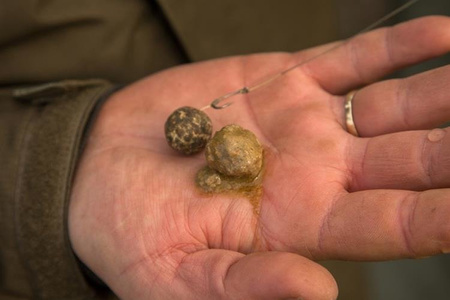 Kulki NASH Scopex Squid Cultured HookBaits 20mm