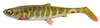clear pike