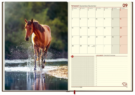 Terminarz jeździecki KALENDARZ książkowy 2026